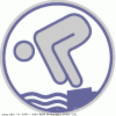 Deutsches Schwimmabzeichen Silber